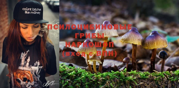 синтетический гашиш Арсеньев
