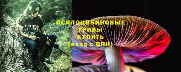 хмурый Балахна