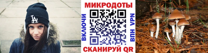 KRAKEN как зайти  Кировск  Галлюциногенные грибы мицелий 