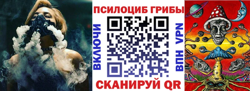 Псилоцибиновые грибы Psilocybine cubensis Кировск